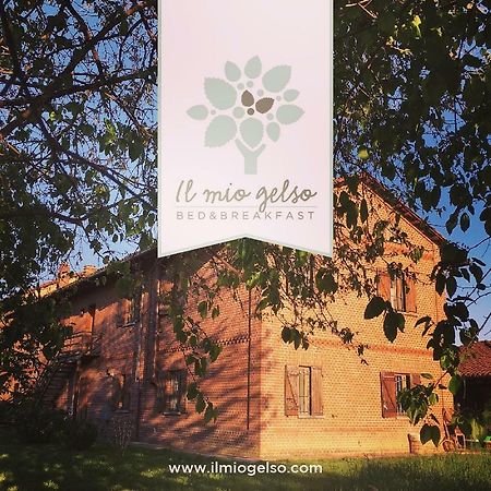 Bed & Breakfast Il Mio Gelso Villanova d'Asti 外观 照片