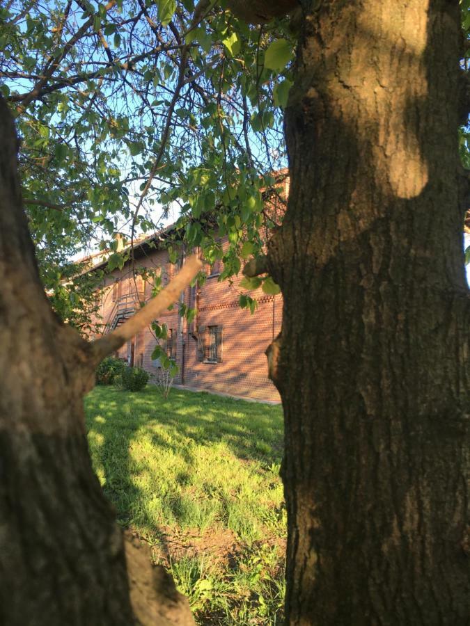 Bed & Breakfast Il Mio Gelso Villanova d'Asti 外观 照片