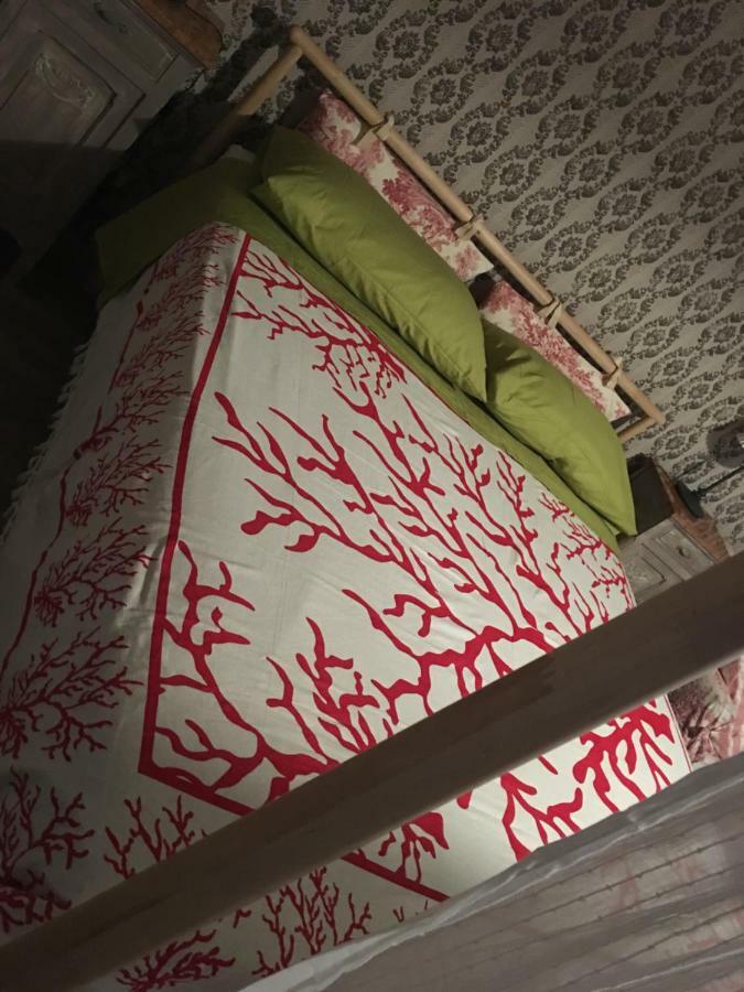 Bed & Breakfast Il Mio Gelso Villanova d'Asti 外观 照片